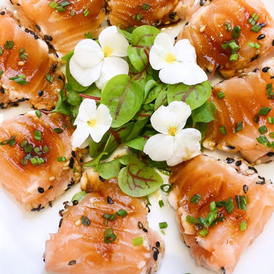 Tataki de salmão e suas sementes